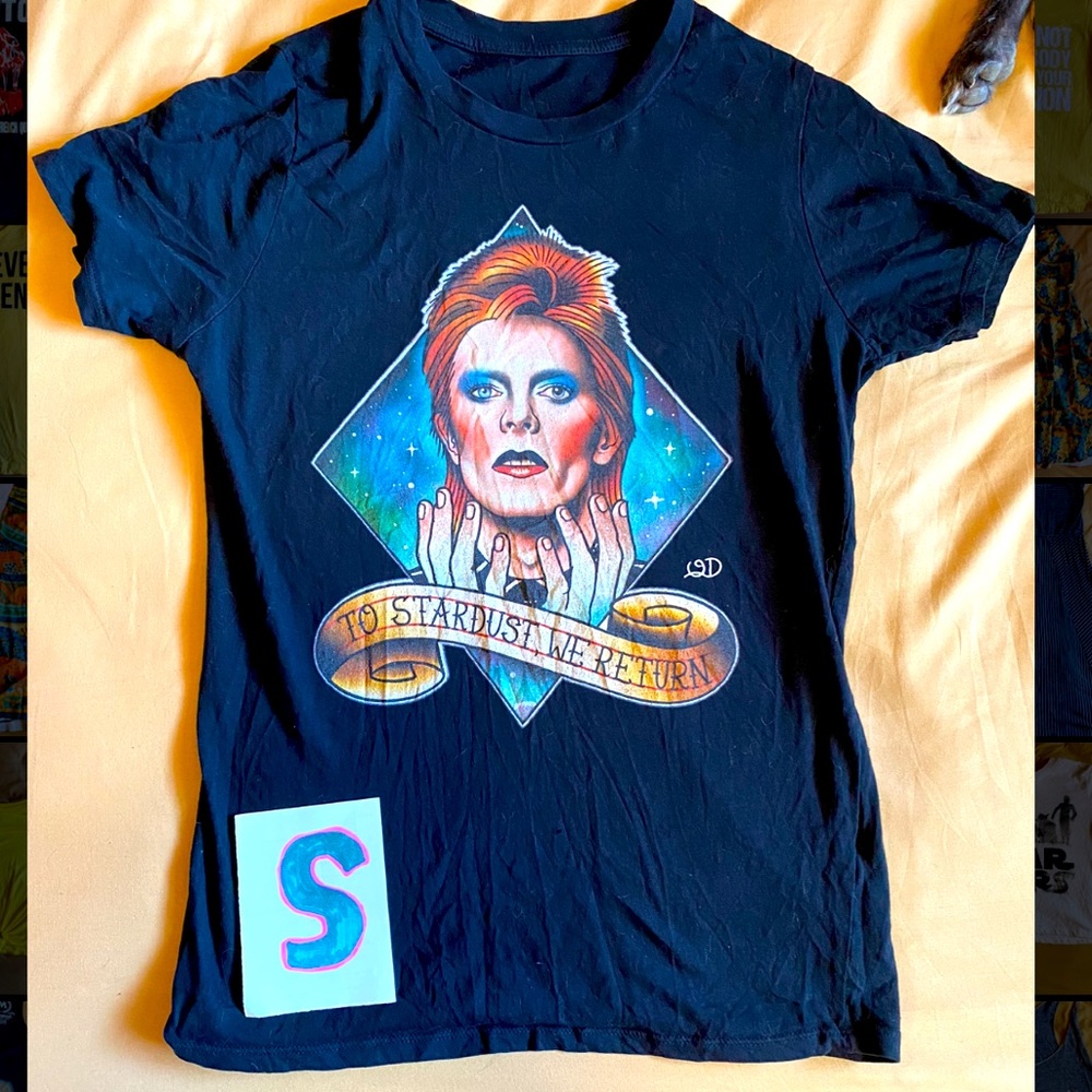 Ziggy Stardust/ David Bowie t-shirt